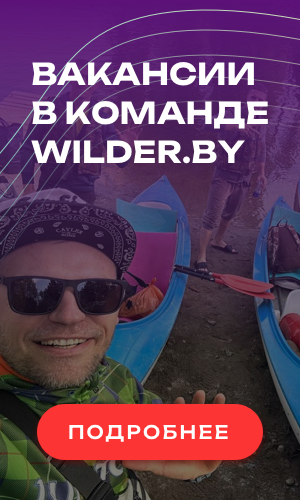 Вакансии в команде wilder.by