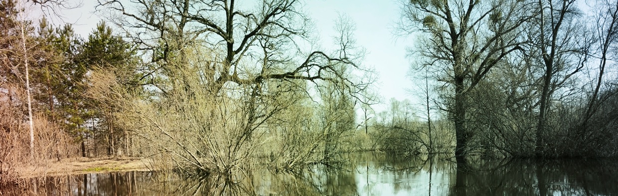 Маршруты сплавов на байдарках по реке Случь