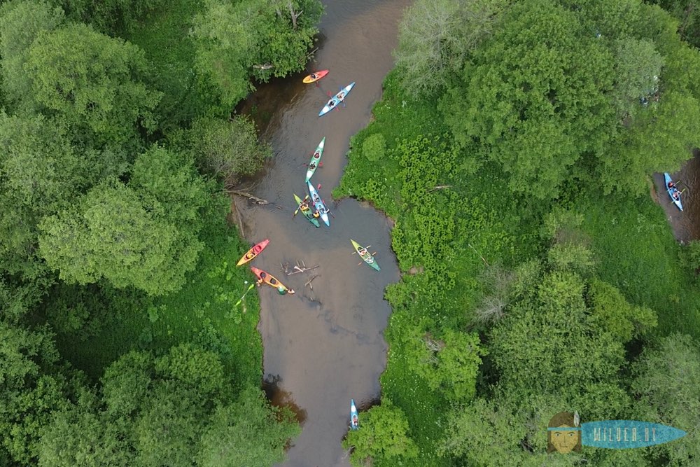 Корпоративные сплавы на байдарках